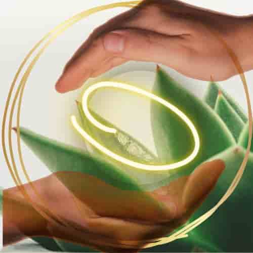 Zur Startseite gehen